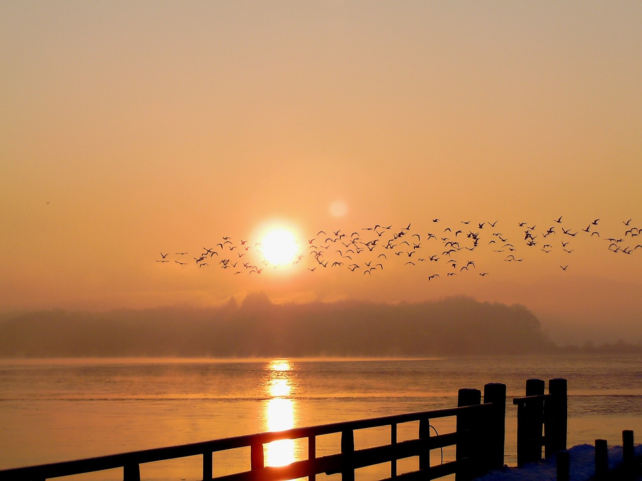 chiemsee sunrise lake free photo