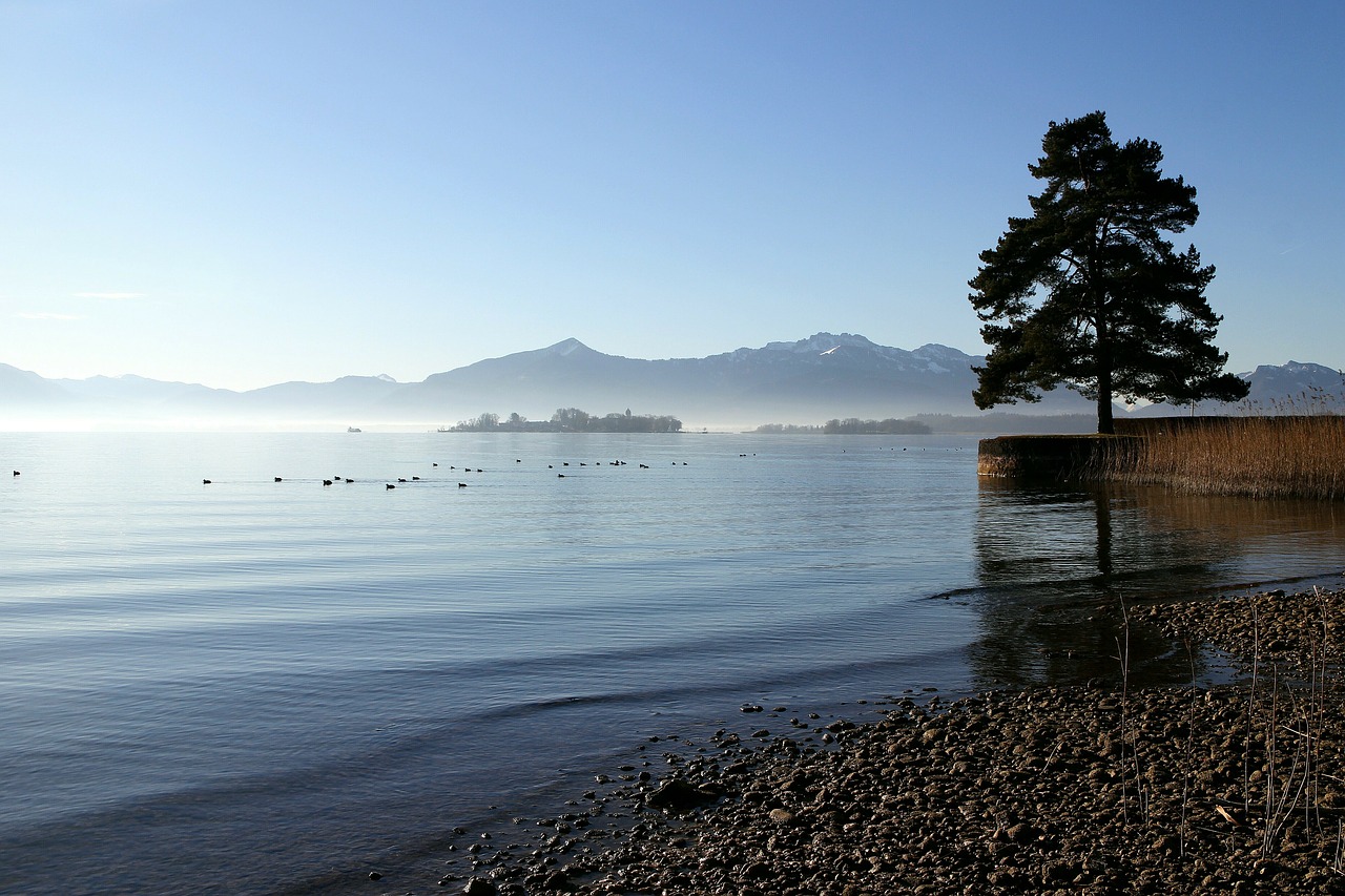 chiemsee upper bavaria tree free photo