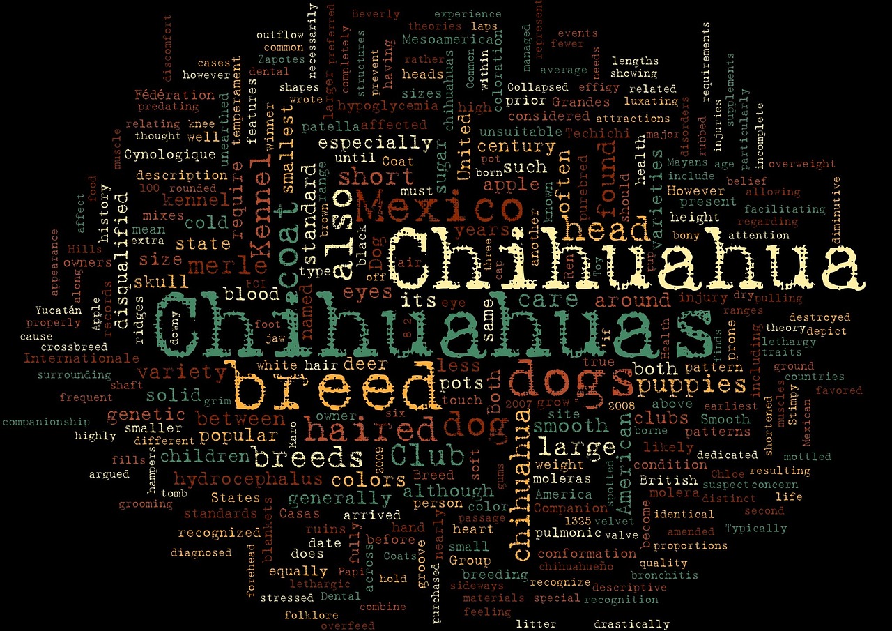 chihuahuas pet word cloud free photo