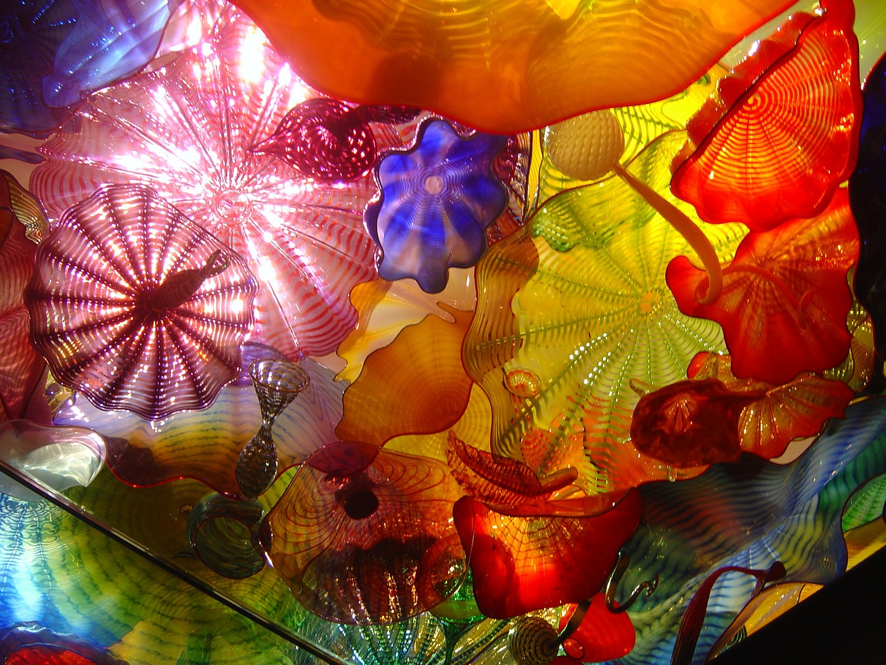 chihuly glass colorful chihuly exhibit free photo