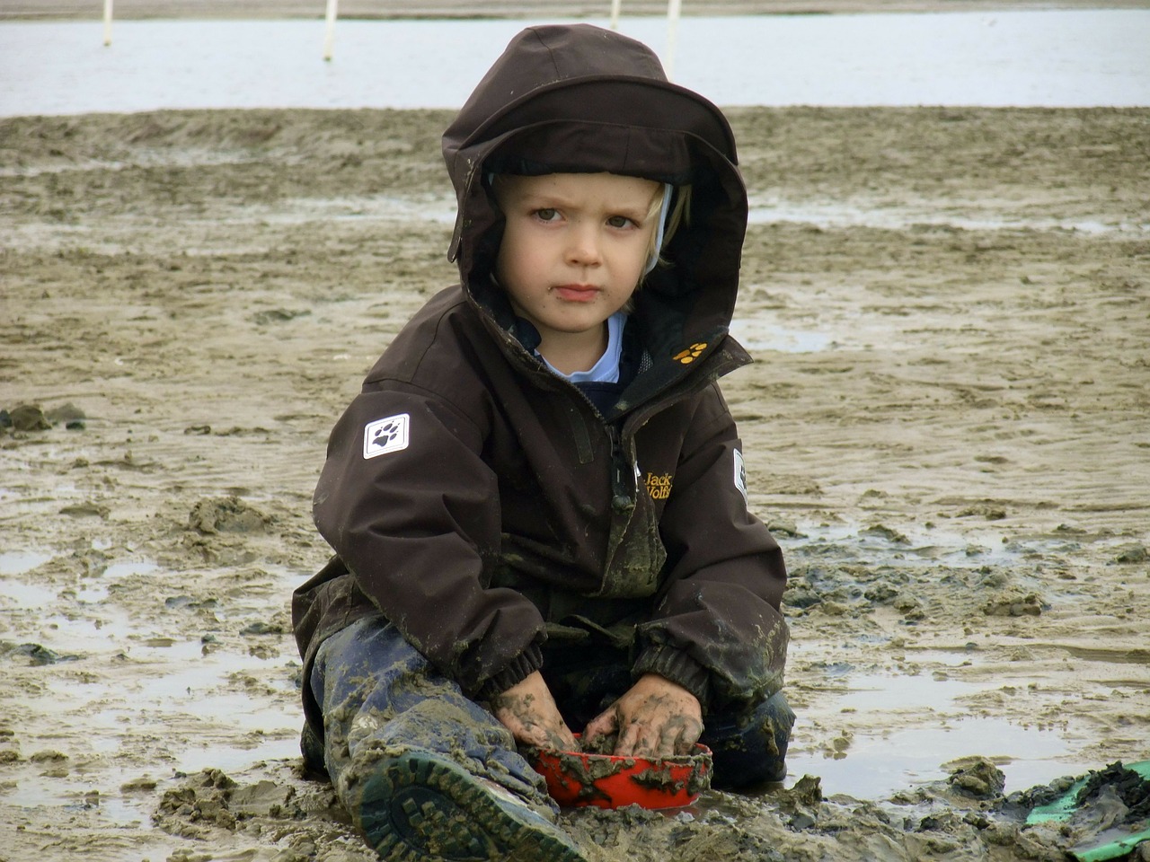 child north sea beach free photo