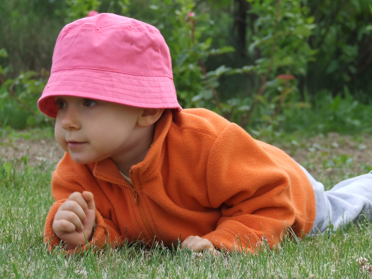 child pink cap the teat free photo