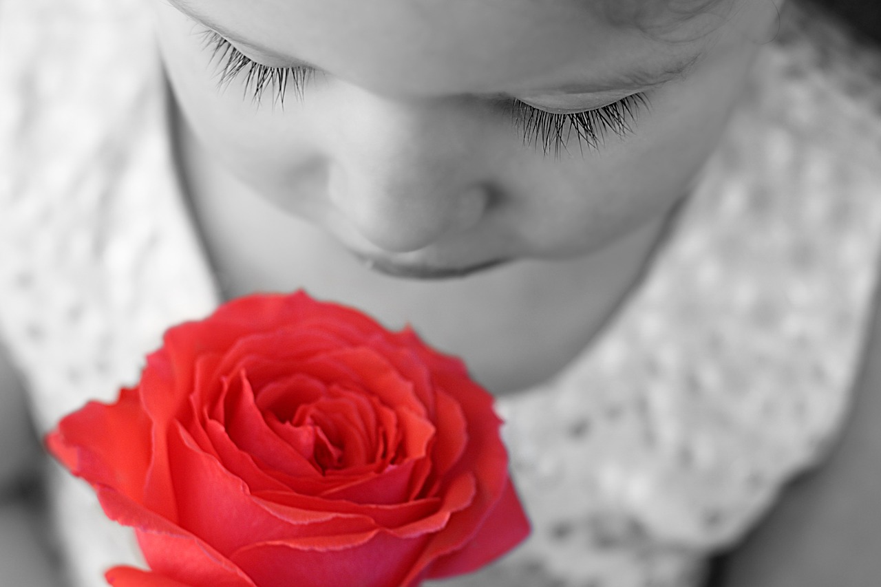 child rose flower free photo