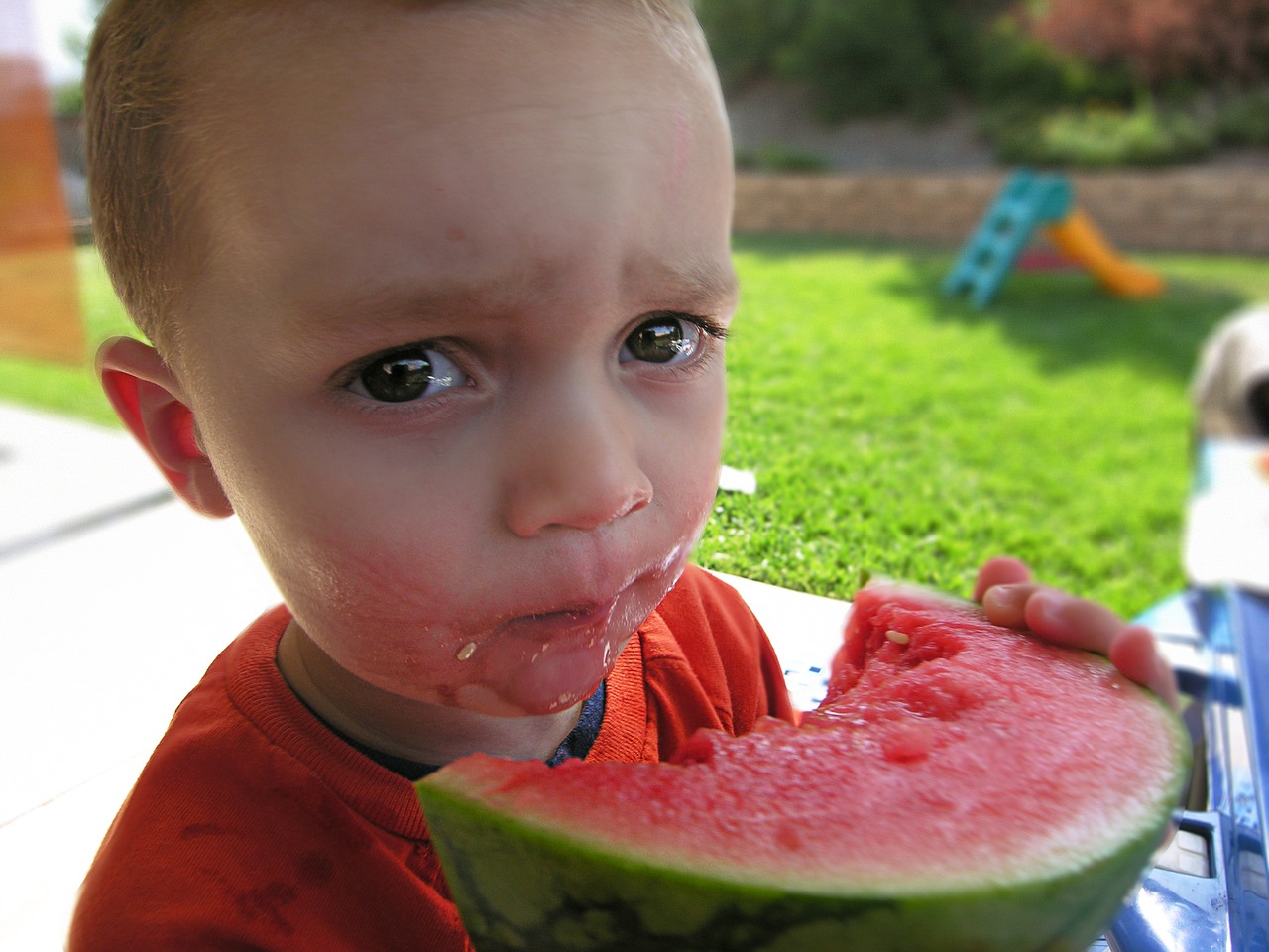 child summer watermelon free photo