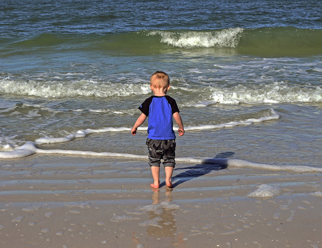 child beach shore free photo