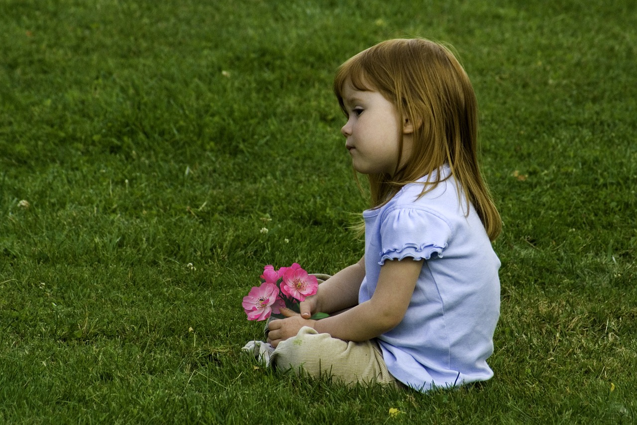 child girl little free photo