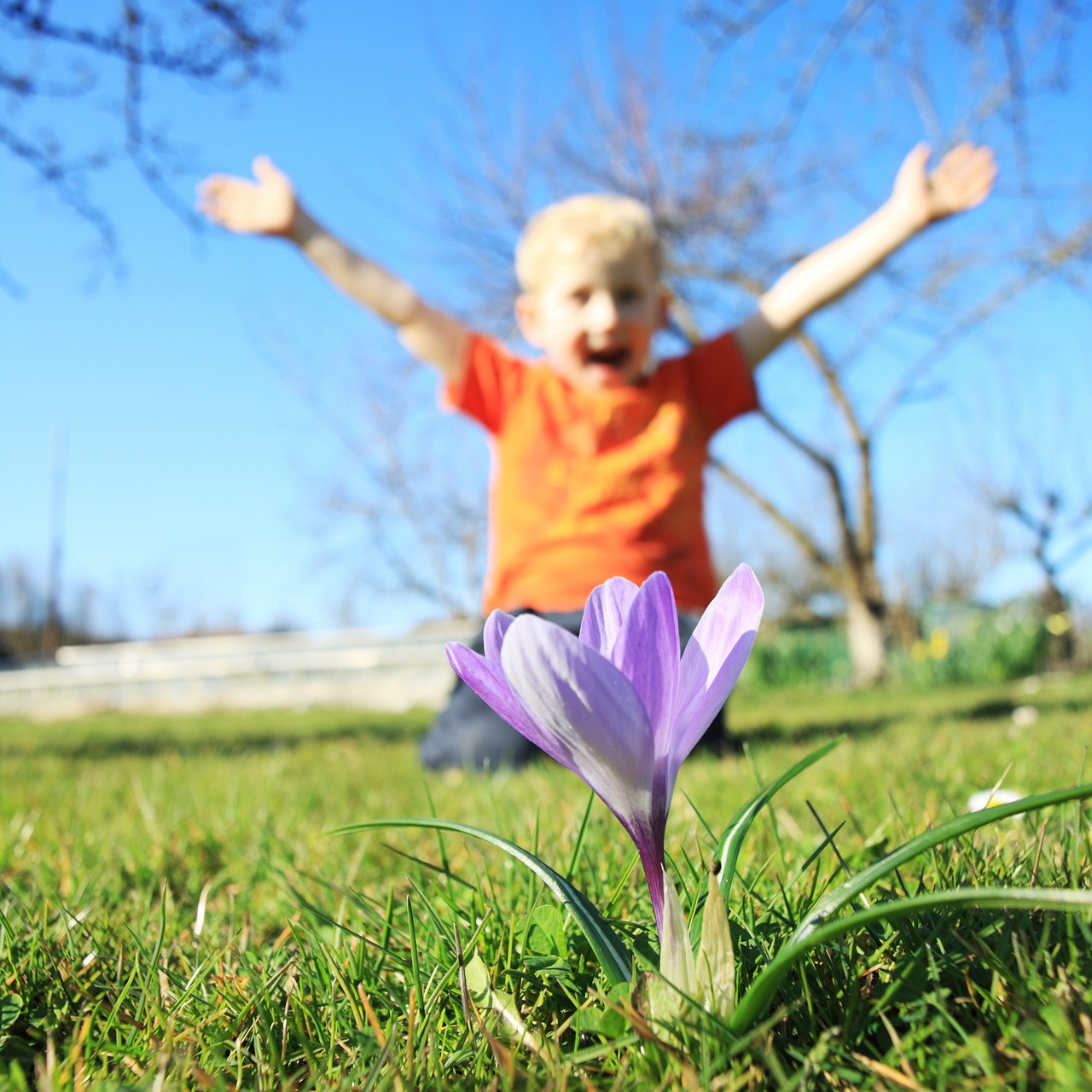 child flower out free photo