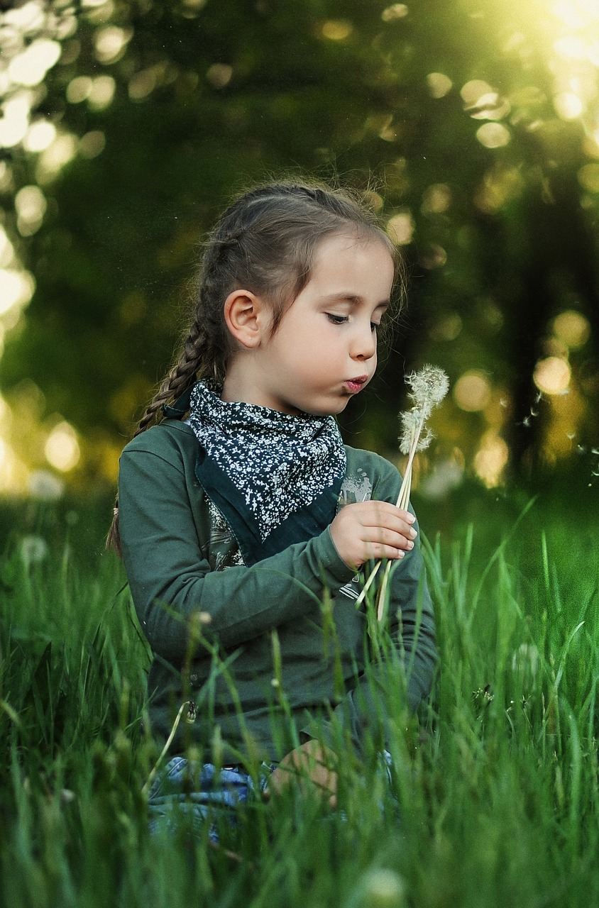 child dandelion kids free photo