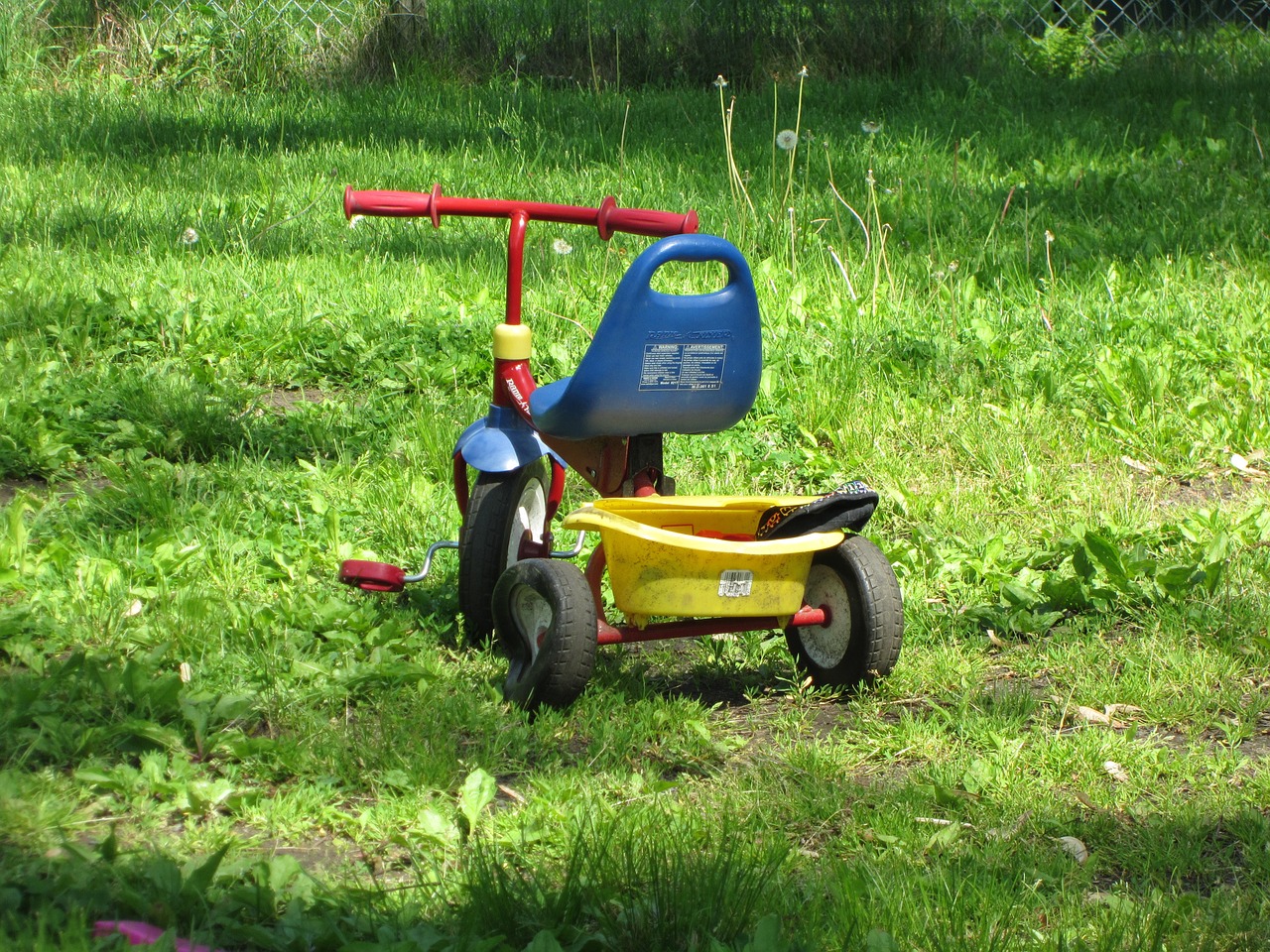 tricycle toy child free photo