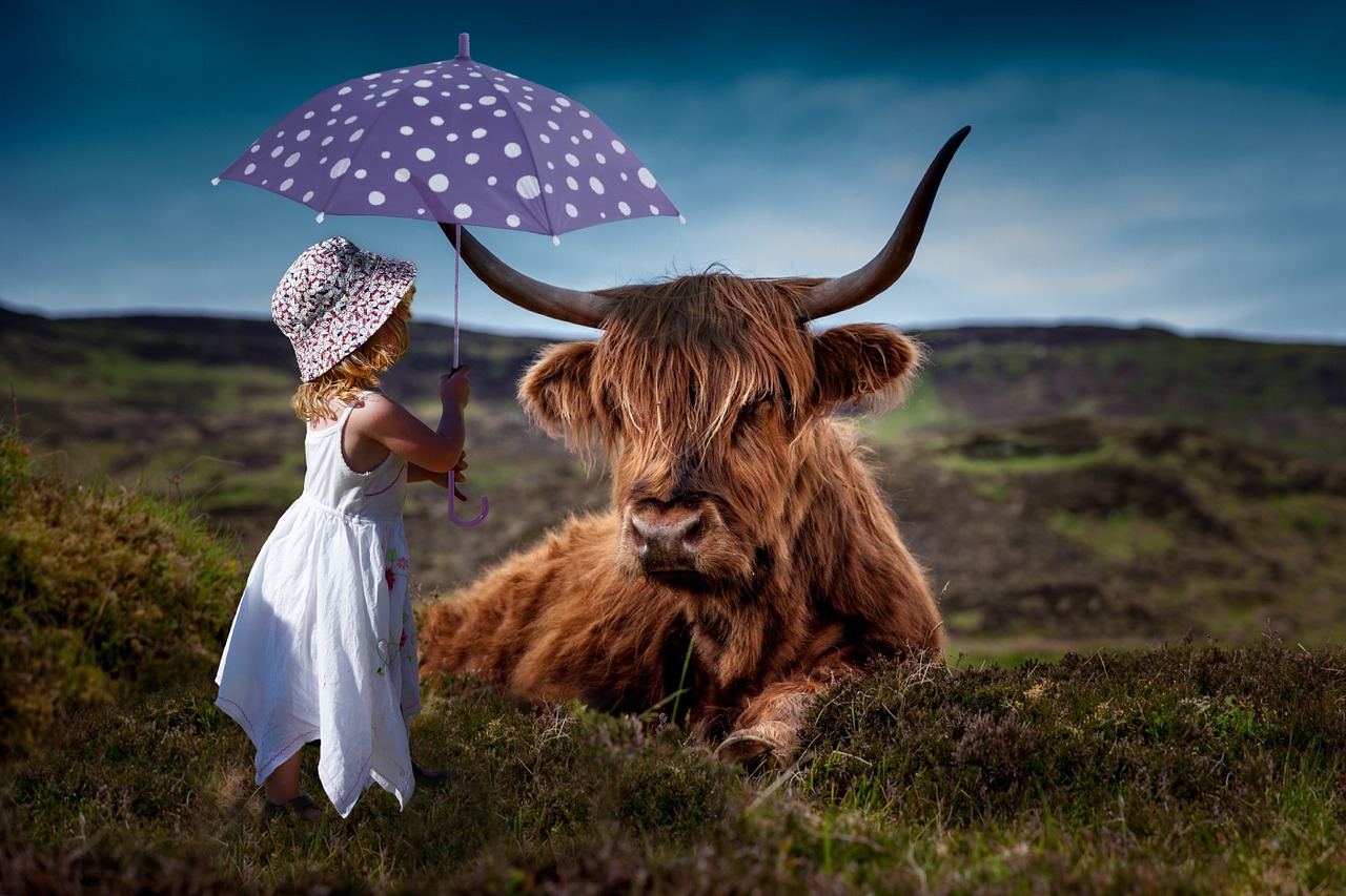 child cow umbrella free photo