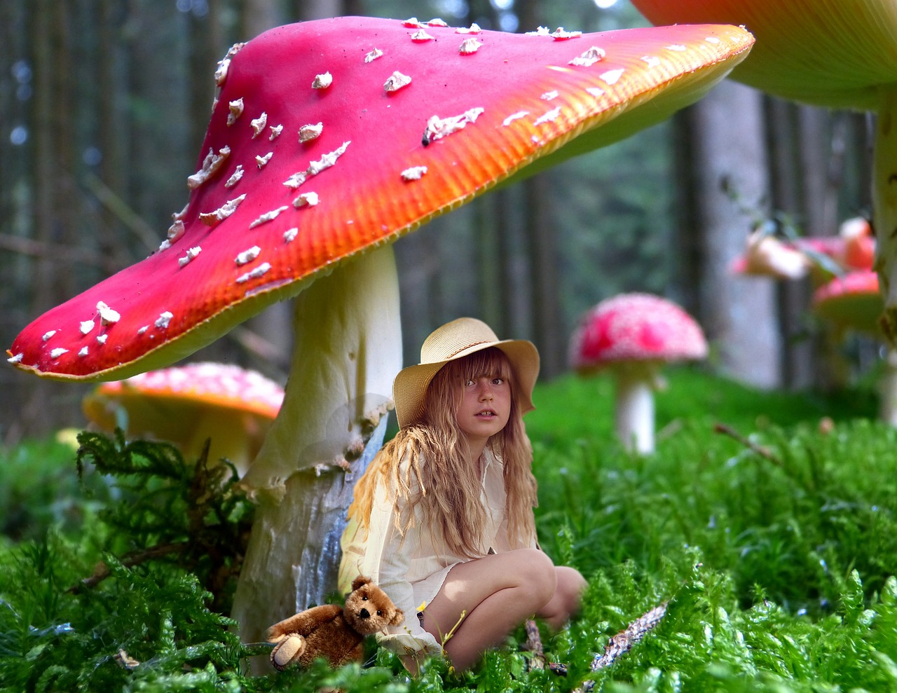 child fungus umbrella free photo