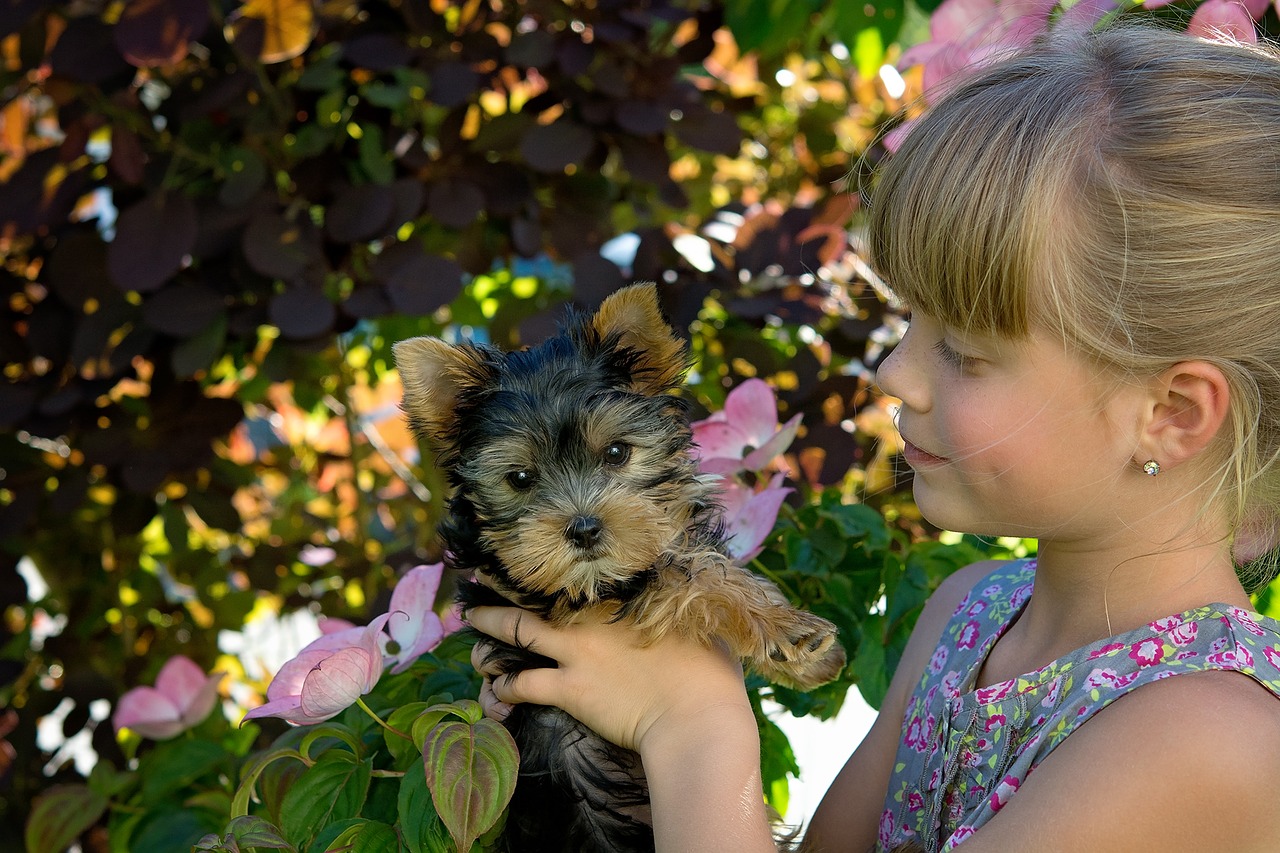 child girl blond free photo