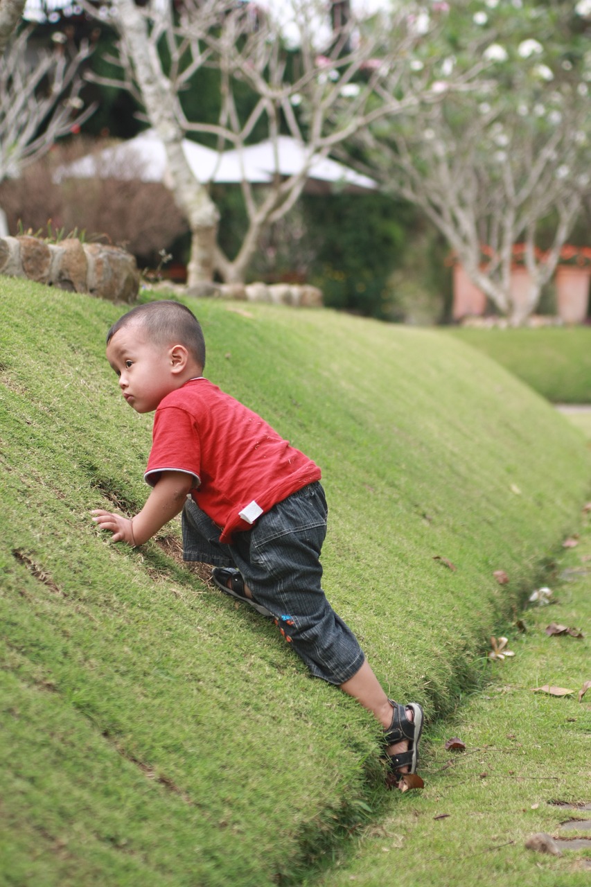 child boy park free photo