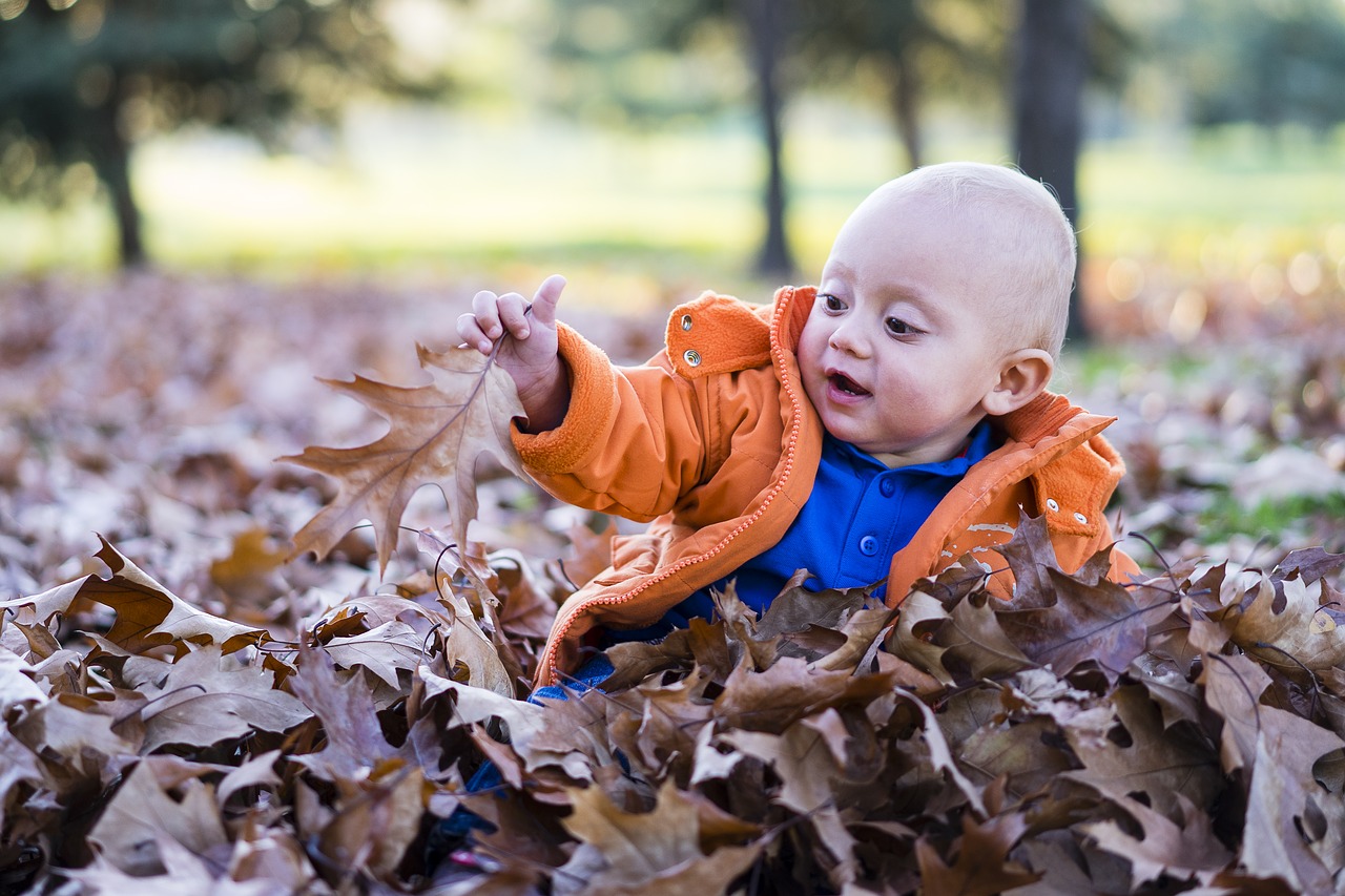 child forest playing free photo