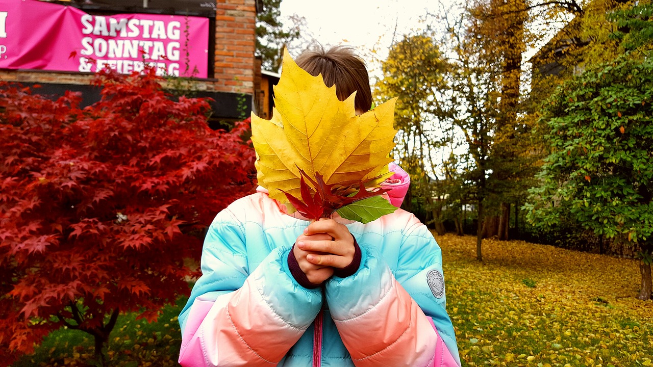 child girl autumn free photo