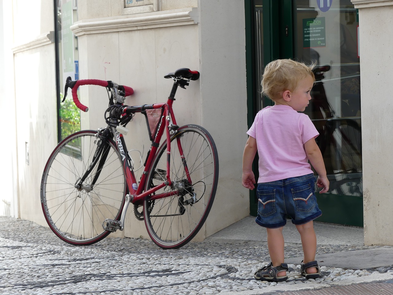 child boy road bike free photo