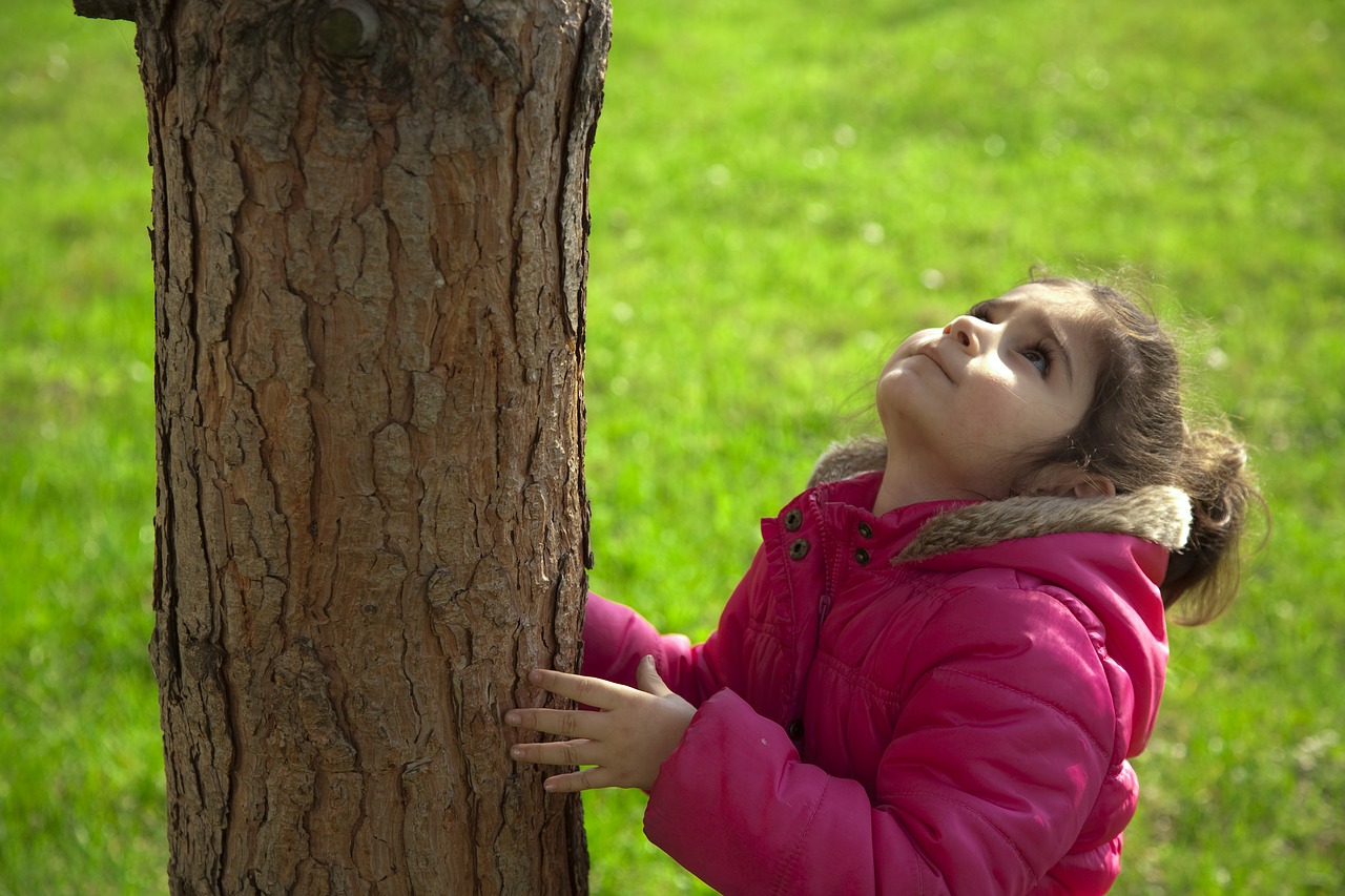 child tree nature free photo