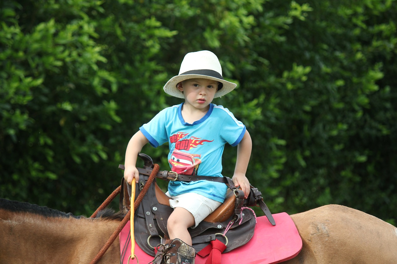 child horse hat free photo