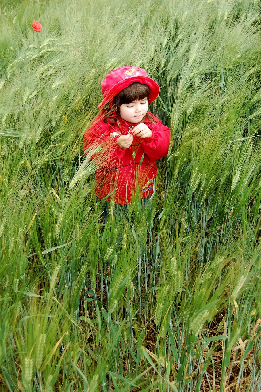 child red meadow free photo