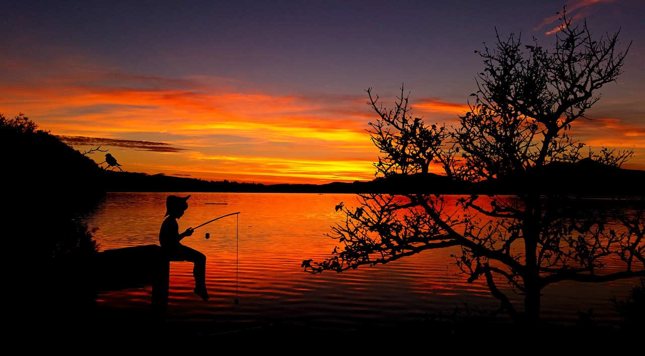 child boy fish free photo