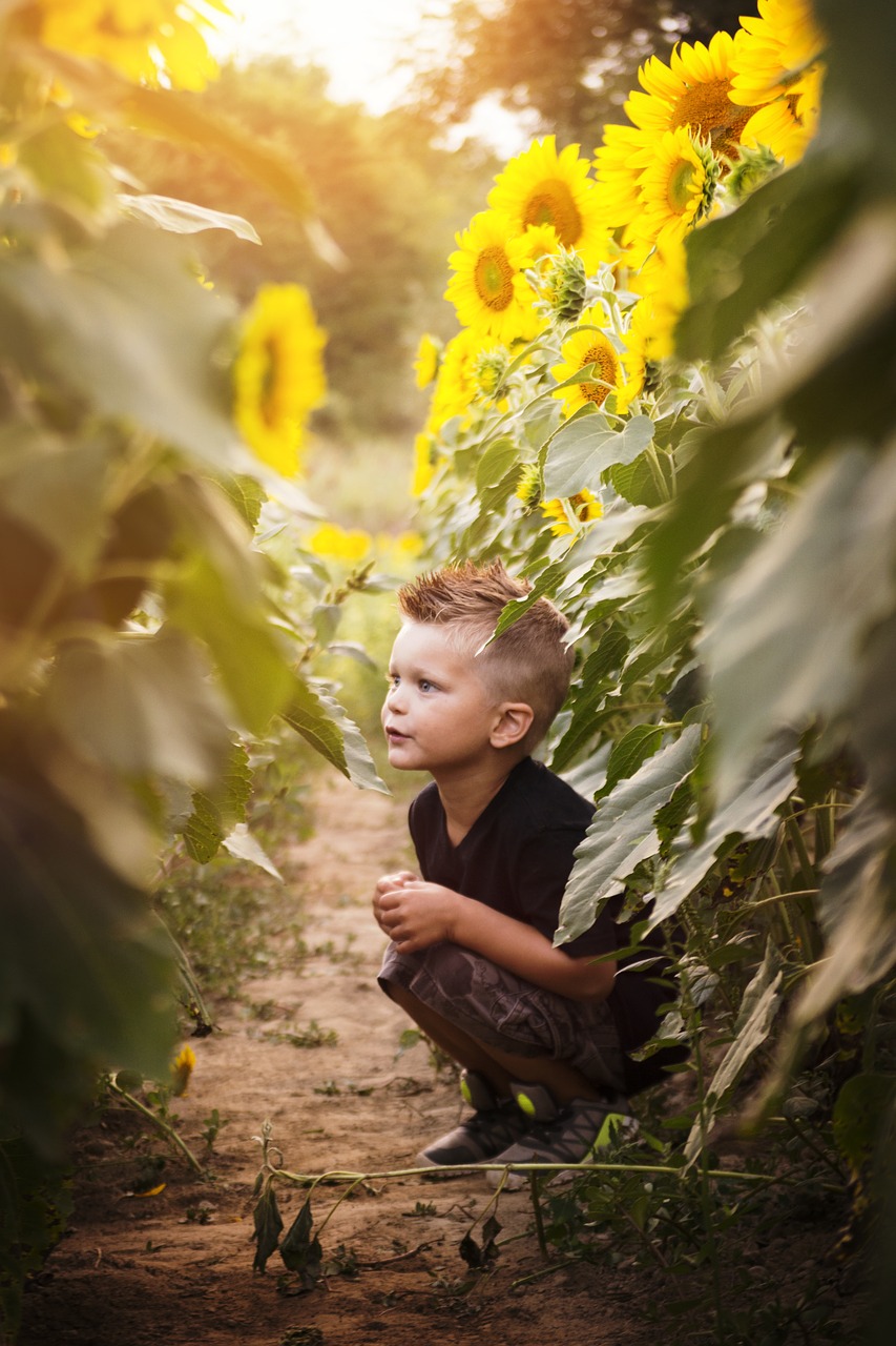 child sun sunflowers free photo