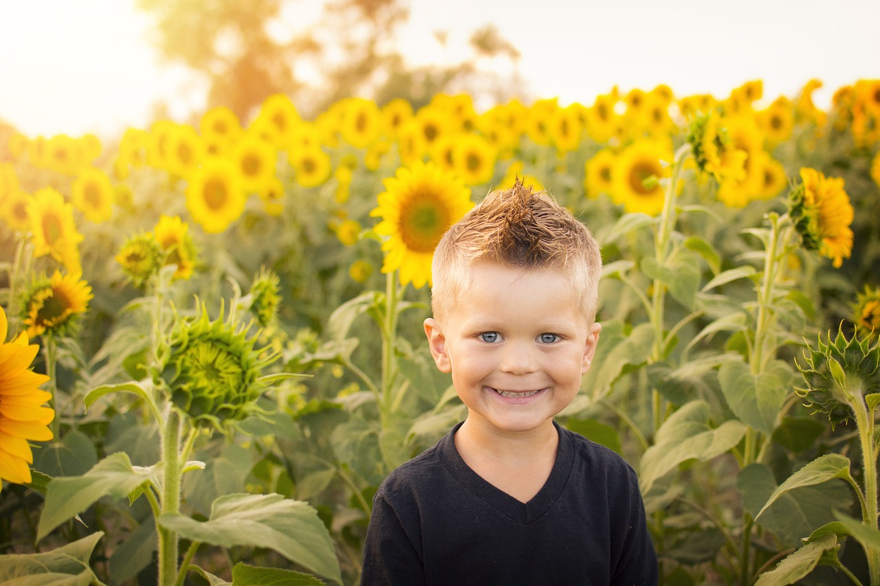 child sun sunflowers free photo