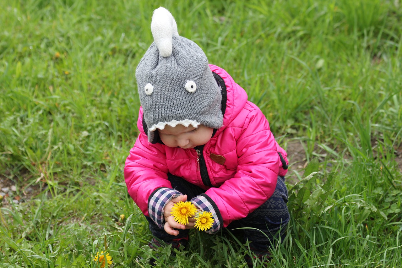 child baby girl dandelions free photo