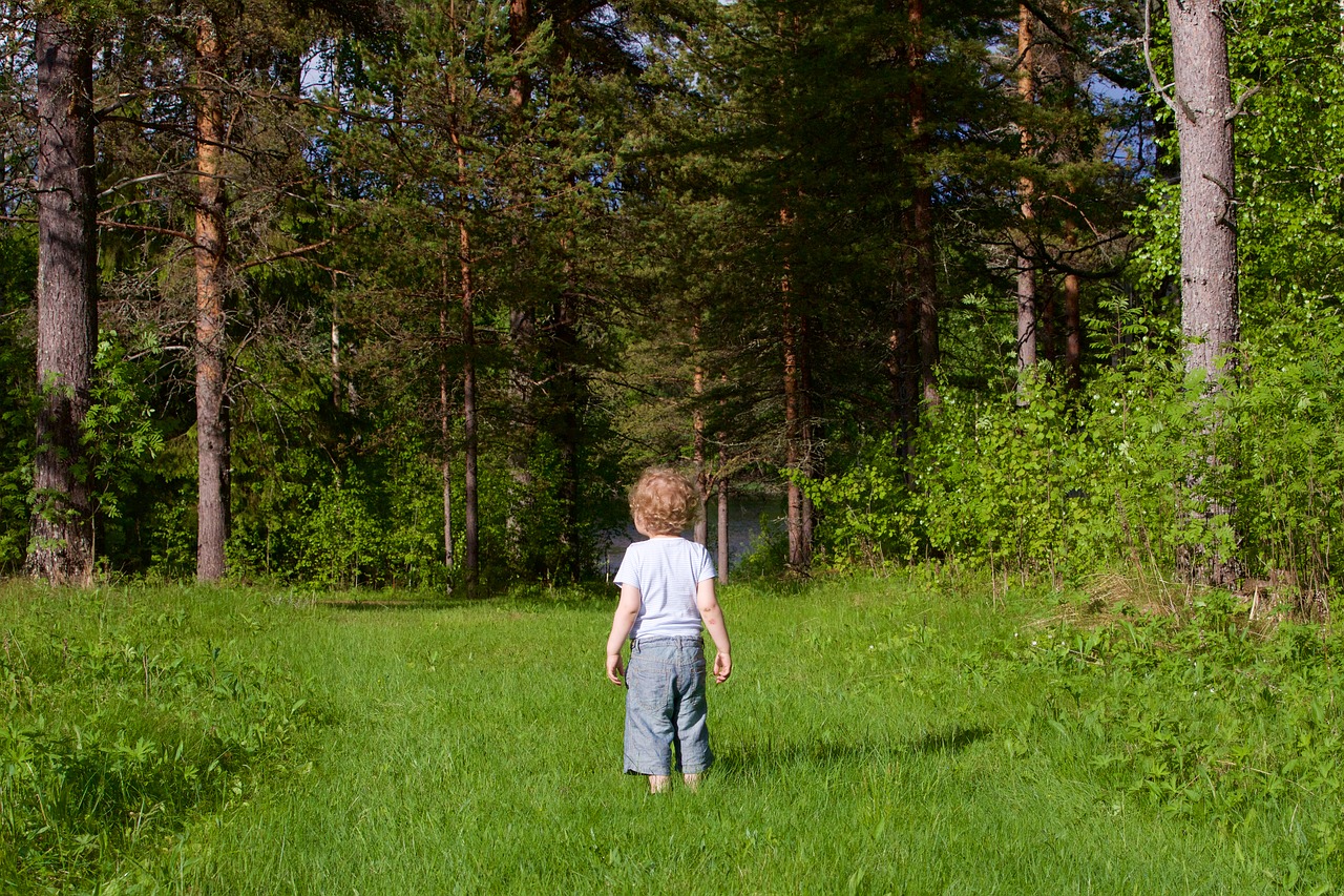 Ребенок заблудился в лесу картинка для детей