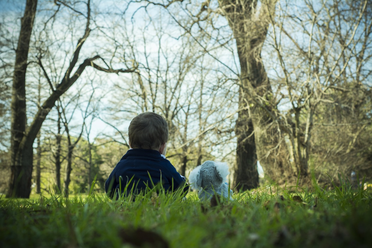 child park lawn free photo