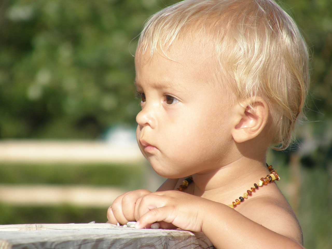 child portrait human free photo