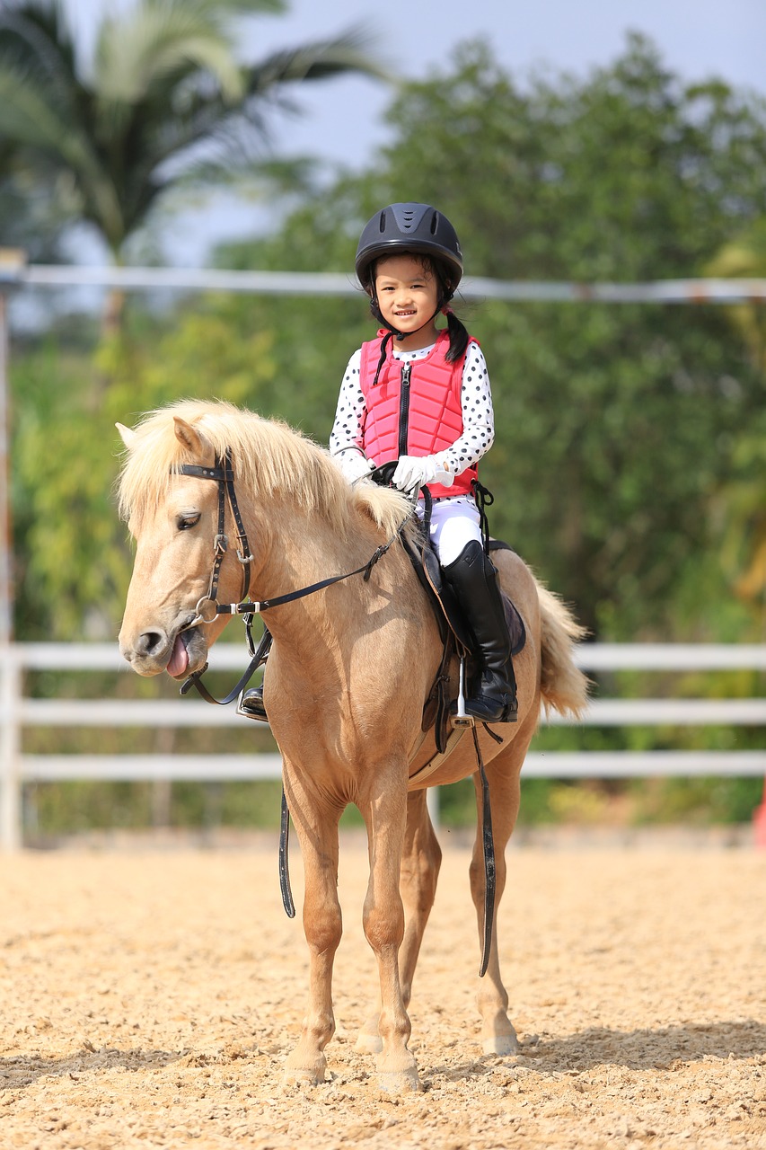 child equestrian pony horse free photo