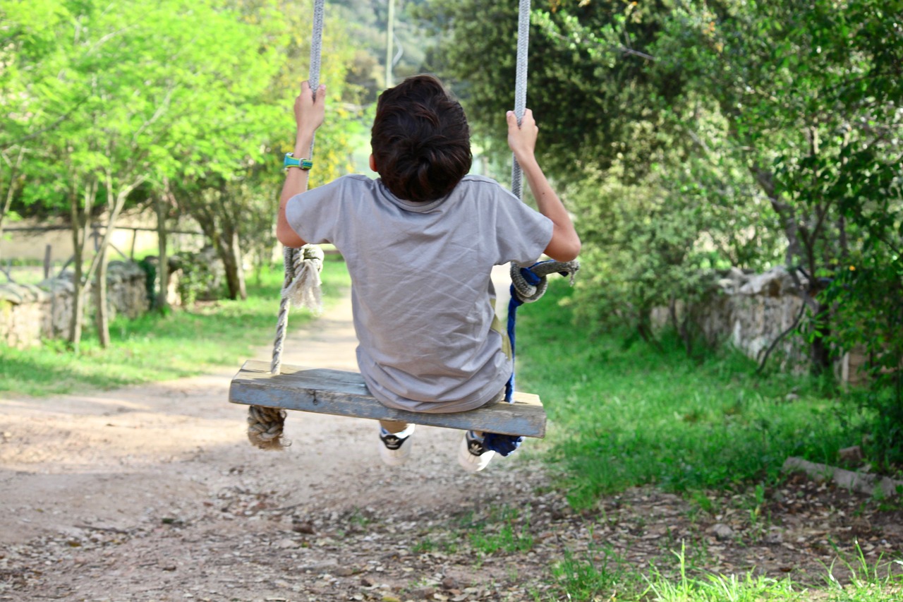 child  swing  game free photo