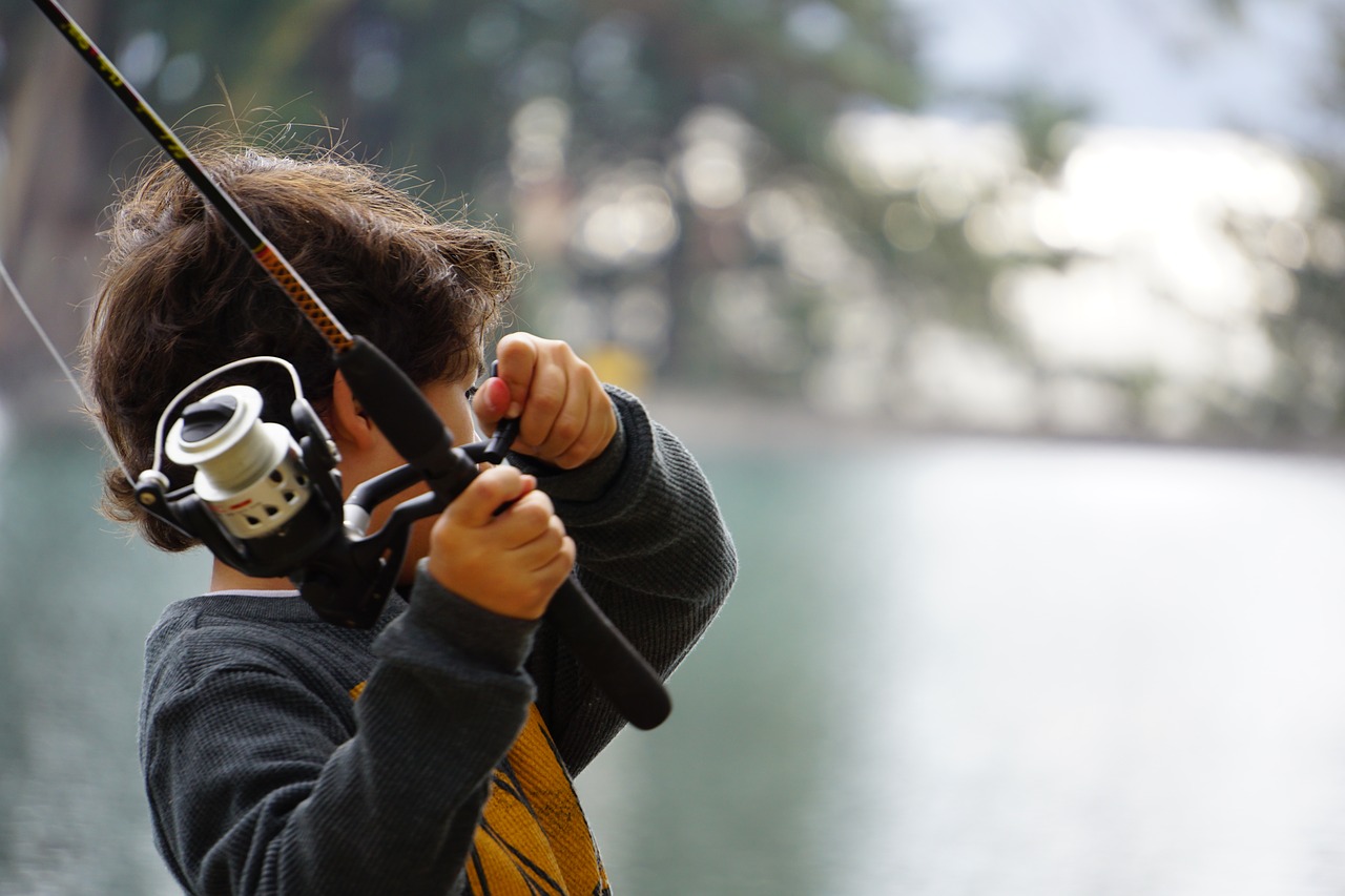 child  fishing  cane free photo