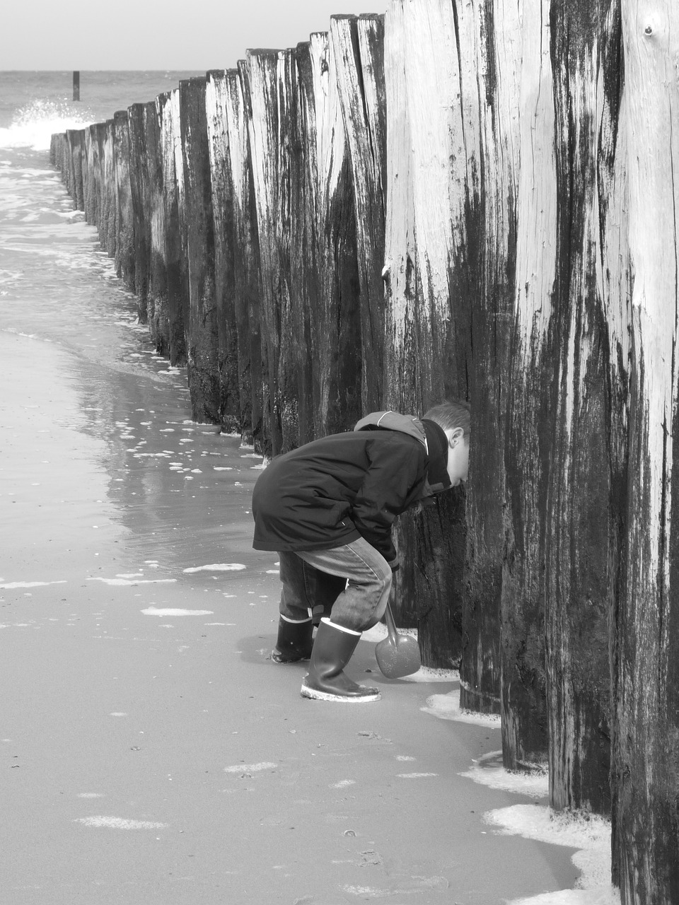 child  sea  beach free photo