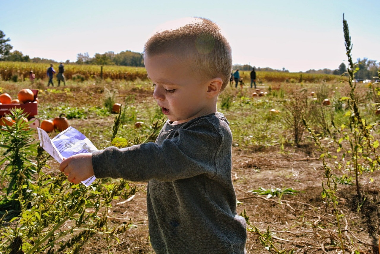 child boy farm free photo