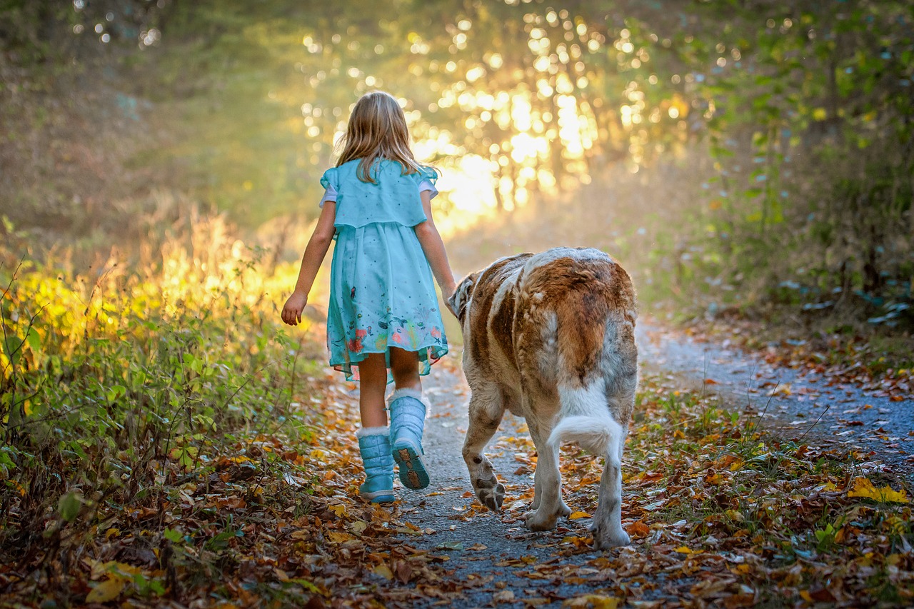 child  dog  forest free photo