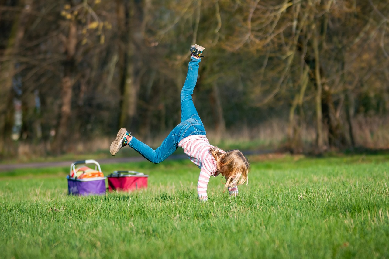 child  play  meadow free photo