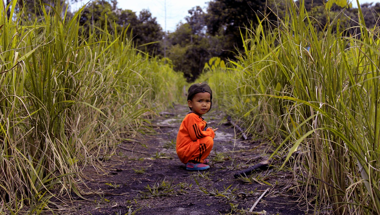 child  nature  plant free photo