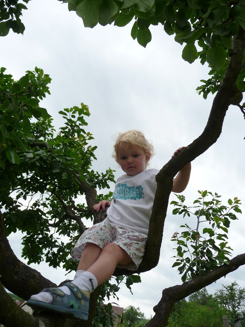 child tree climb free photo