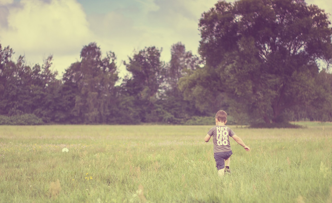 child nature meadow free photo