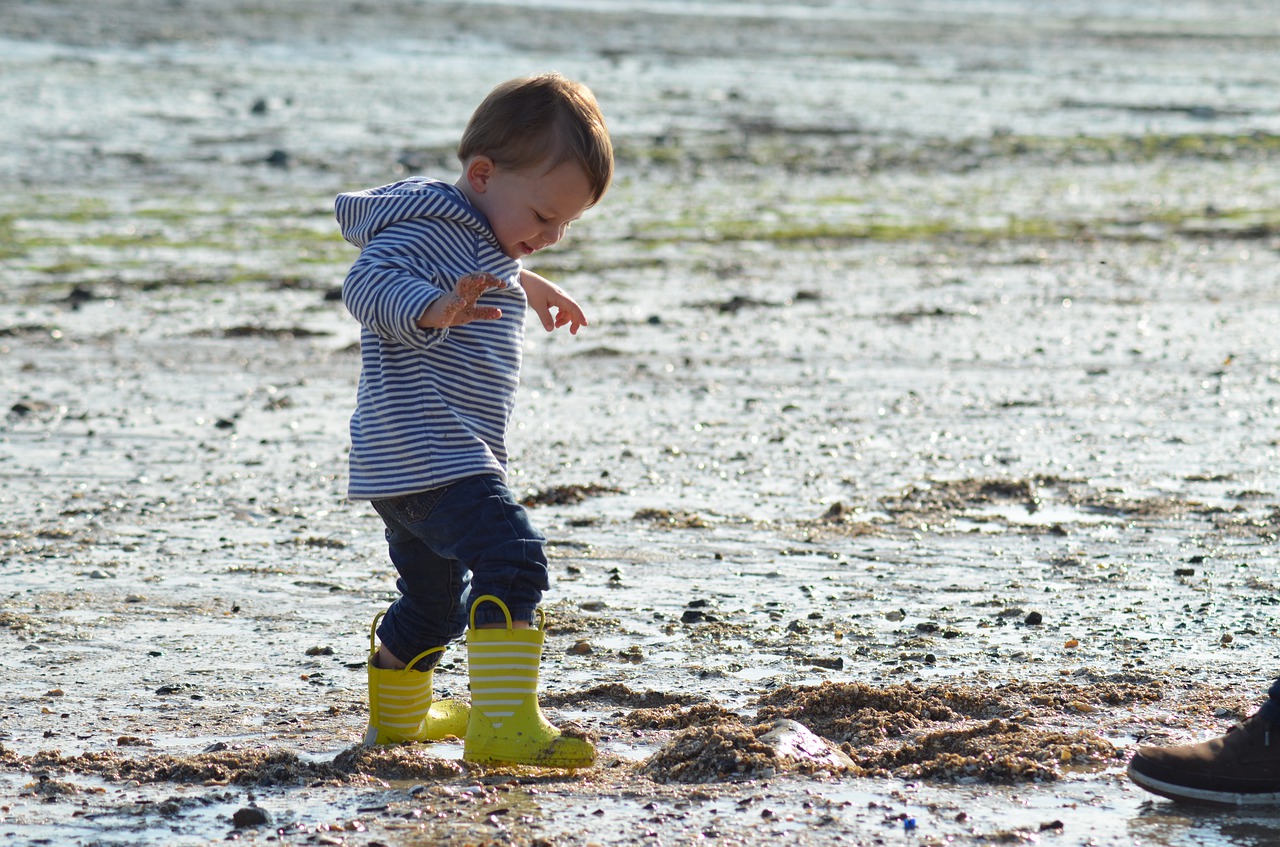 child  beach  marin free photo