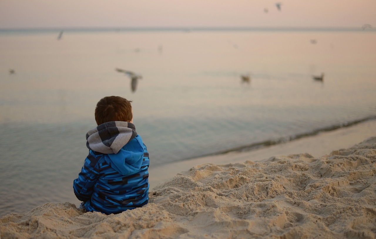 child birds sea free photo