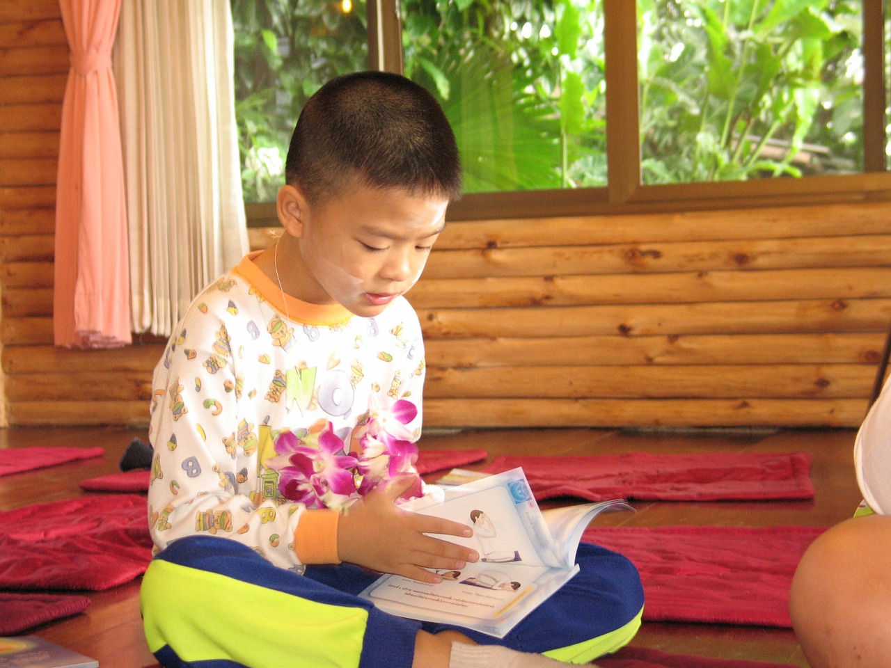child boy reading free photo