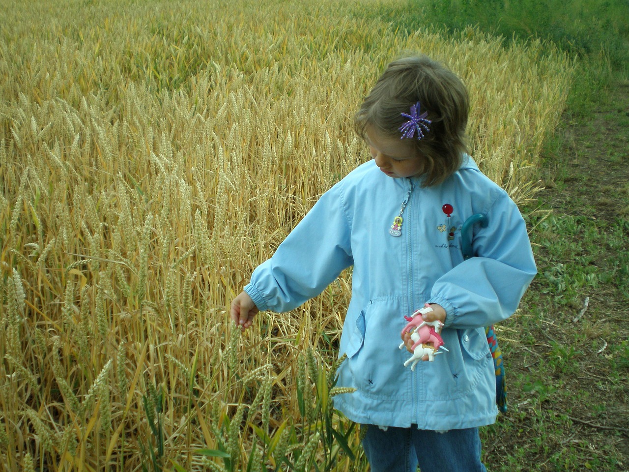 child field cereals free photo