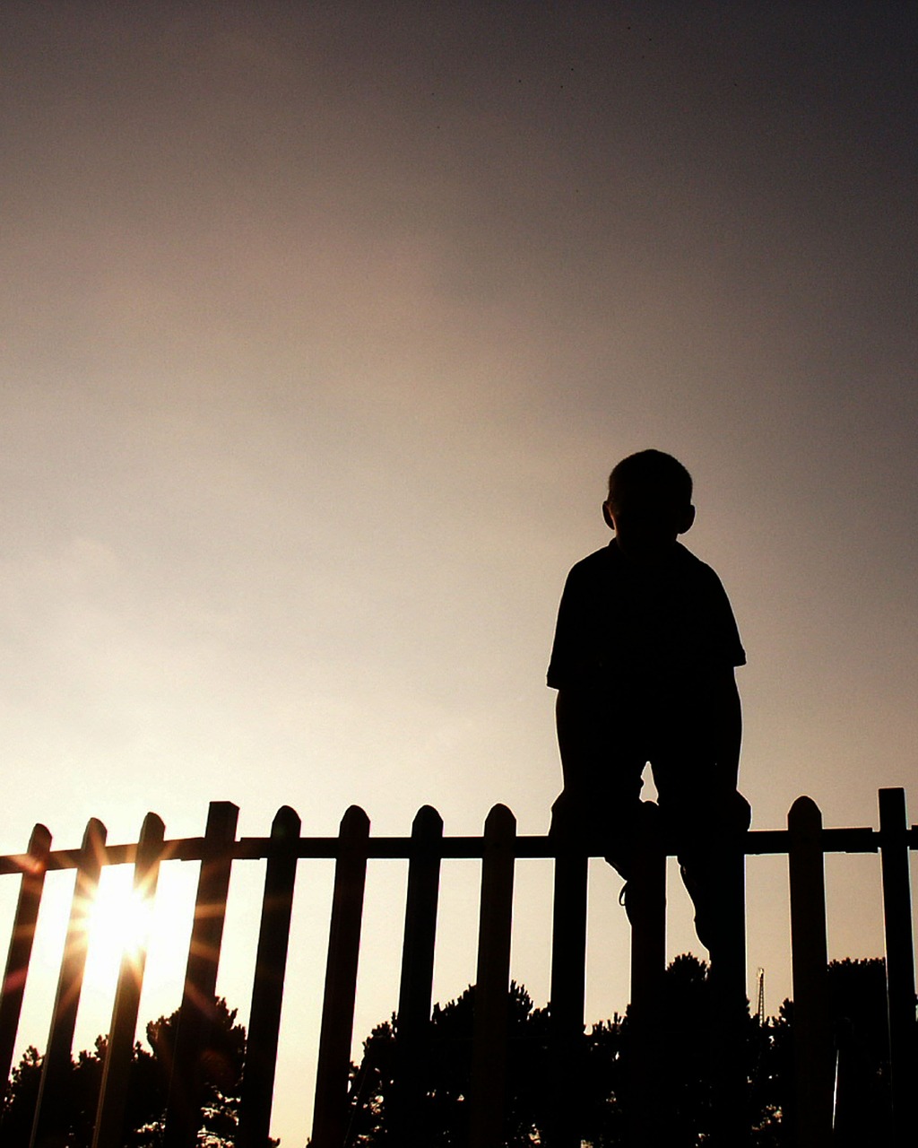 child fence boy free photo