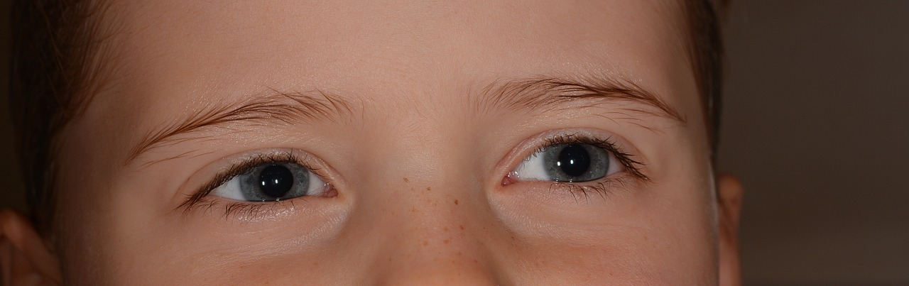 child girl eyes free photo