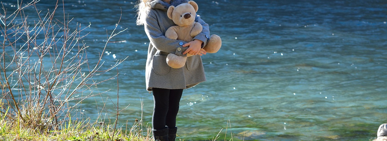 child bear teddy bear free photo