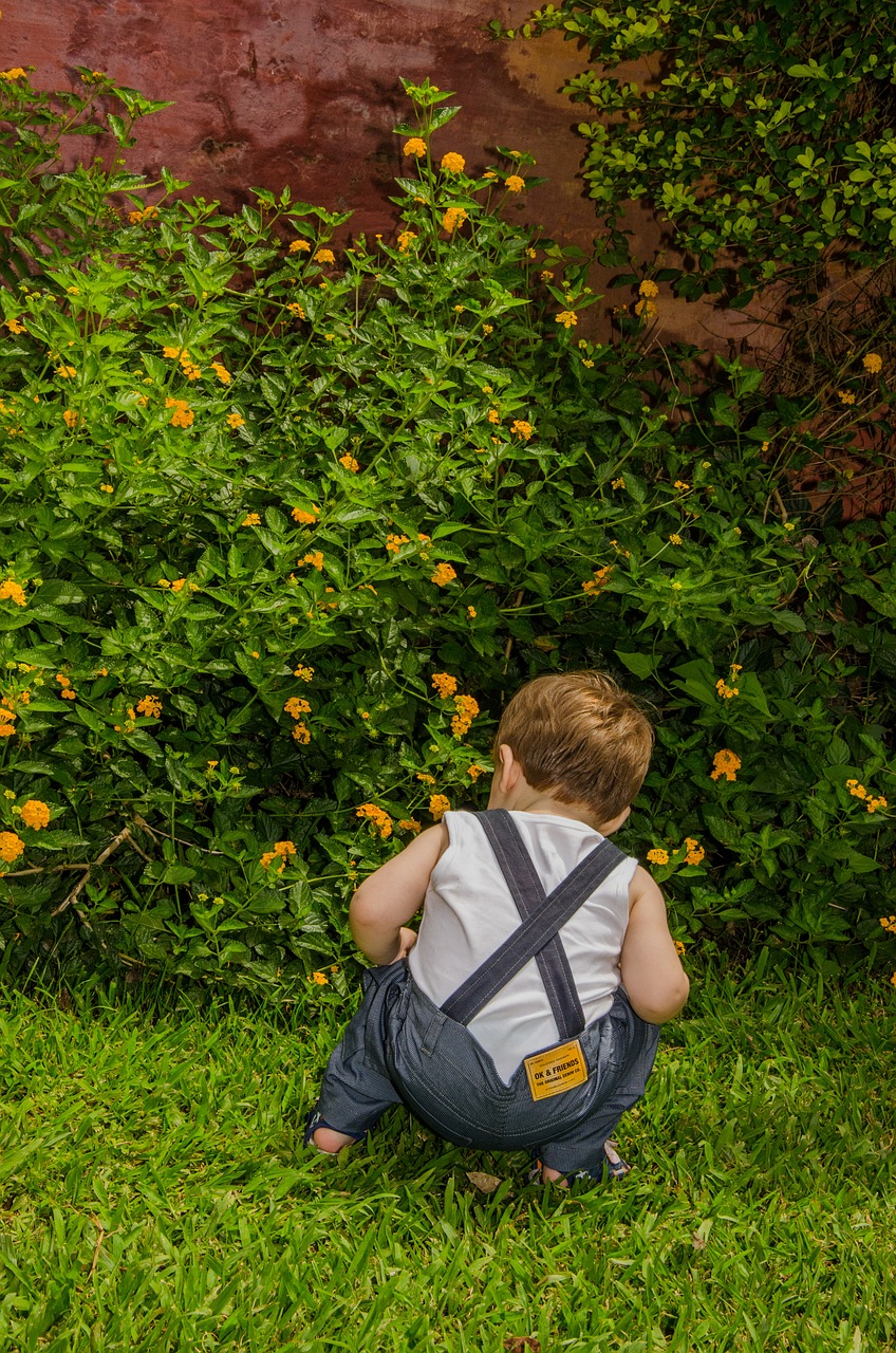 child flowers grass free photo