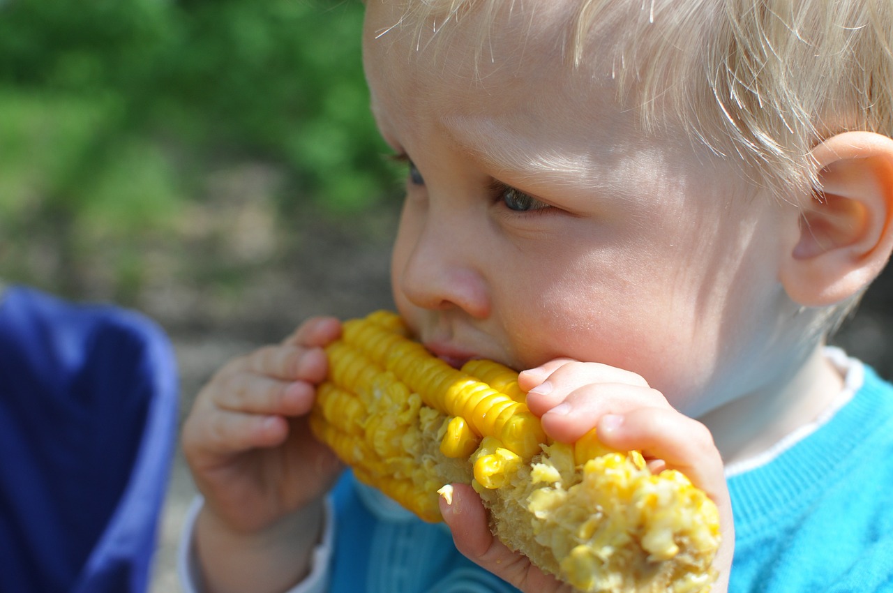 child eating corn free photo