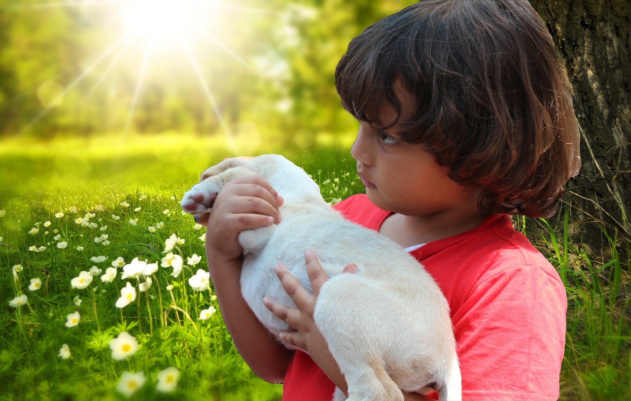 child puppy meadow free photo